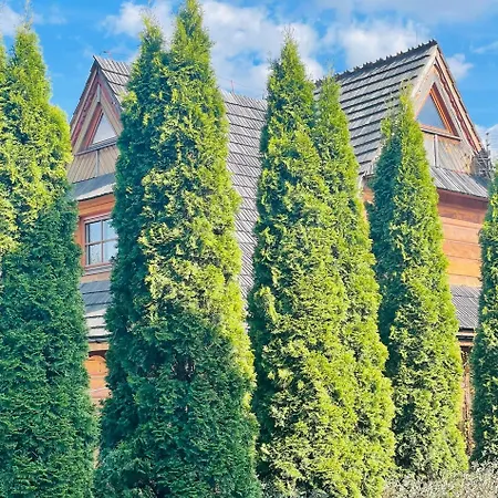 Villa Pandora - Zakopane Centrum Zewnętrze zdjęcie