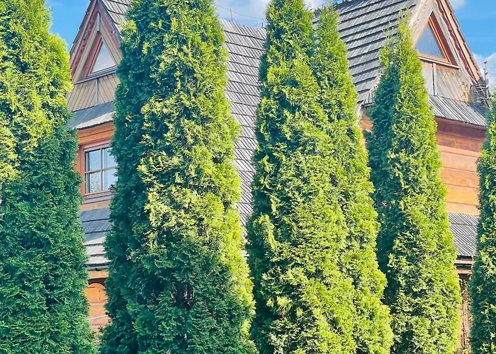 Villa Pandora - Zakopane Centrum